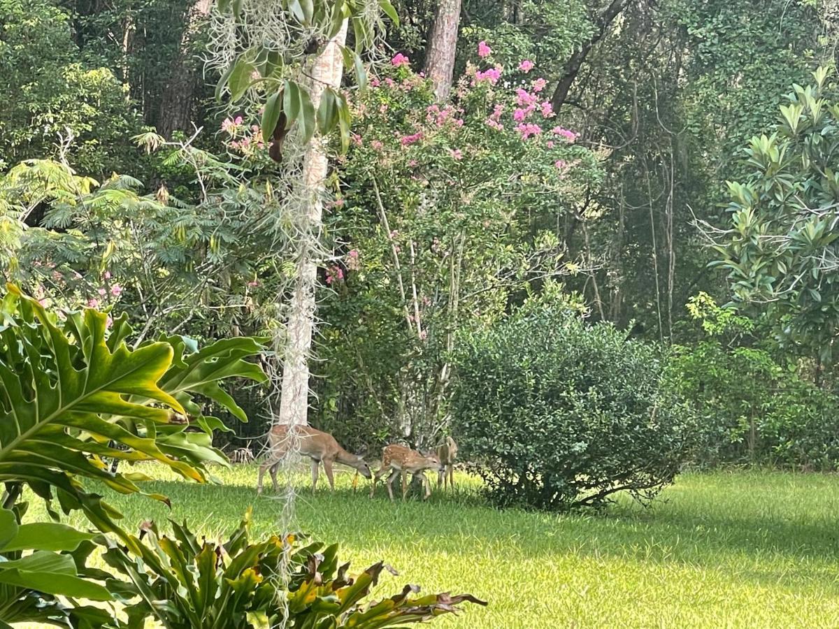 The Ann Stevens House Bed & Breakfast Cassadaga Exterior photo