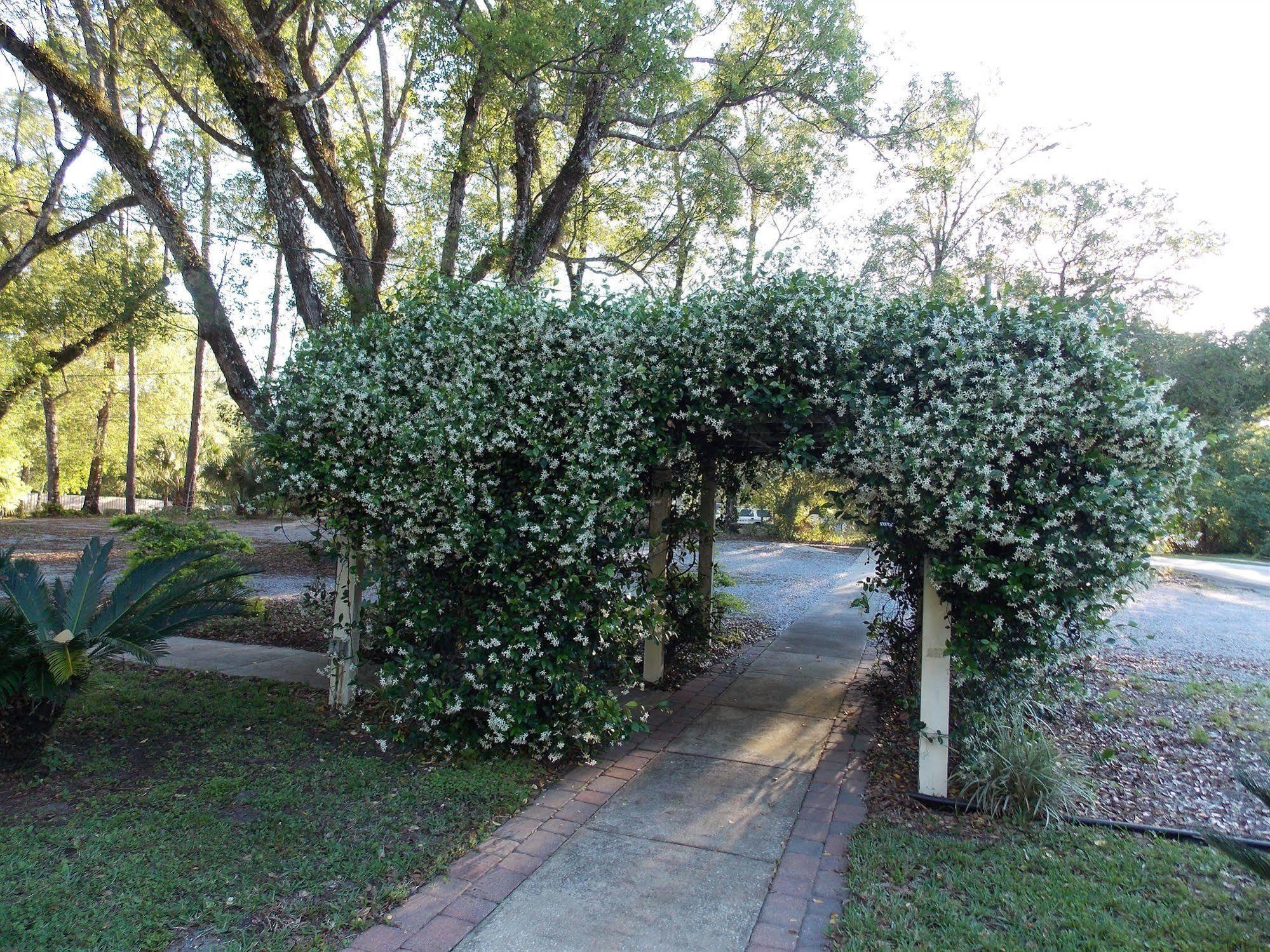 The Ann Stevens House Bed & Breakfast Cassadaga Exterior photo